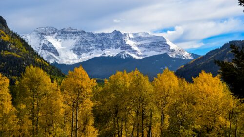 image of fall tress and snow-peaked mountains in Aspen, Colorado